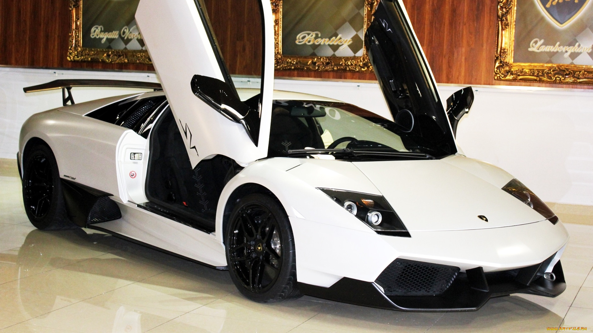 lamborghini, murcielago, , automobili, s, p, a, , 